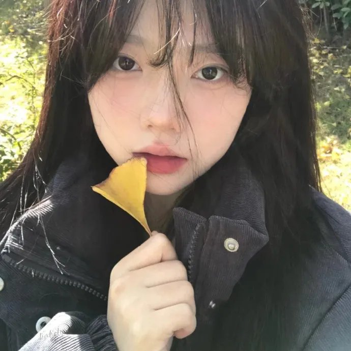 我们的共和国